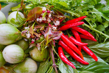 Fresh locally grown vegetables for cooking