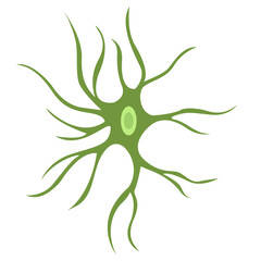 Astrocyte Cell Vector Illustration