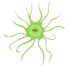 Astrocyte Cell Vector Illustration