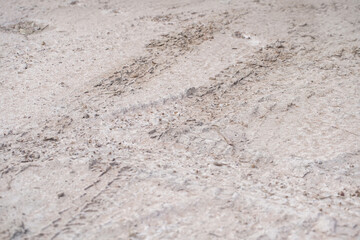 Tire marks in the sand