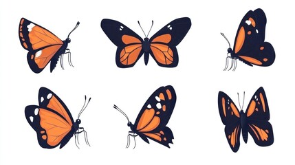 Orange butterflies flutter against a white backdrop, perfect for nature books