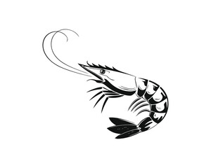 Shrimp Ink Style Design