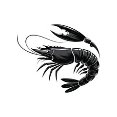 Shrimp Tattoo Sketch Style