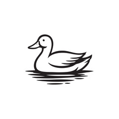 swimming duck