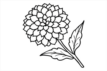 Line art marigold with the stem wrapping around itself