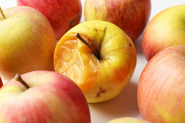 Rotten apple among fresh ones on white table, closeup