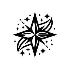 Elegant Black and White Starburst Design Element