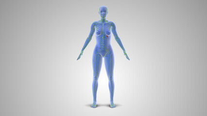 Indentation Swelling from Pitting Edema Condition