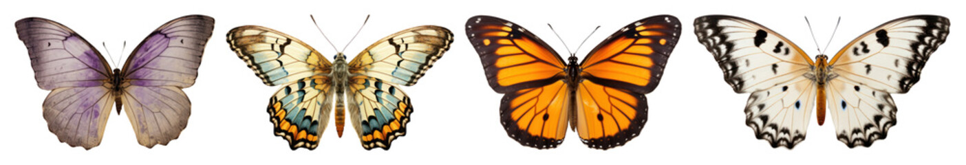 PNG Colorful butterflies in a row, element set on transparent background