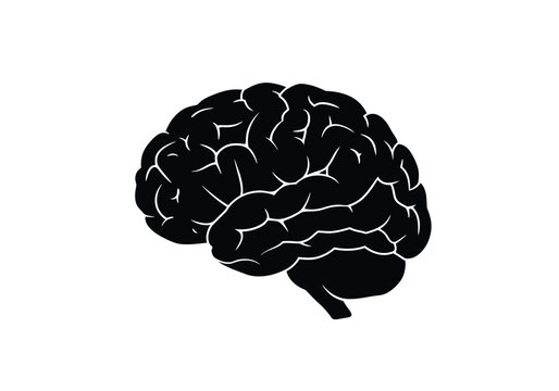 Brain silhouette. This image shows a black silhouette of a human brain with detailed contours and folds, also known as a brain outline or brain clipart. Vector clipart illustration design.