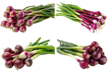 Red Spring Onions Bunch, Purple Bases, Green Tops, Isolated