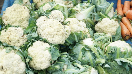 Indonesia, Banda Aceh, May 2, 2025, cabbage harvest