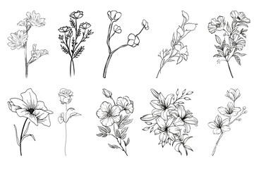 set of black and white flowers