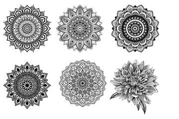 vector set of ornamental elements