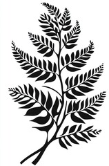 Black fern frond, nature design, botanical illustration, white background, nature decor