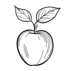 Hand-drawn apple with leaves in sketch style  