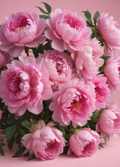 Fototapeta premium Dense cluster of pink peonies on a blush pink backdrop , delicate, petals, design