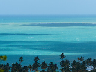 Beautiful turquoise ocean view with palm trees. Dominican Republic. 