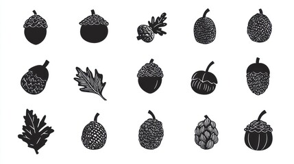 Collection of acorns and oak leaves; autumn nature; design elements; white background; for seasonal projects