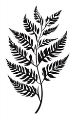 Naklejka premium Black fern frond illustration, nature, botanical, design, white background, graphic