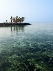 A small tropical island with palm trees rises from the sea, surrounded by clear, shallow water and a peaceful sky at Jeddah Water Front in Saudi Arabia