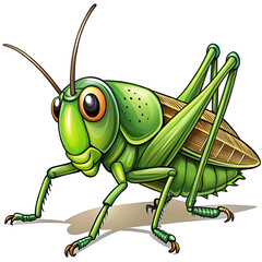 Fototapeta premium green grasshopper isolated on white background
