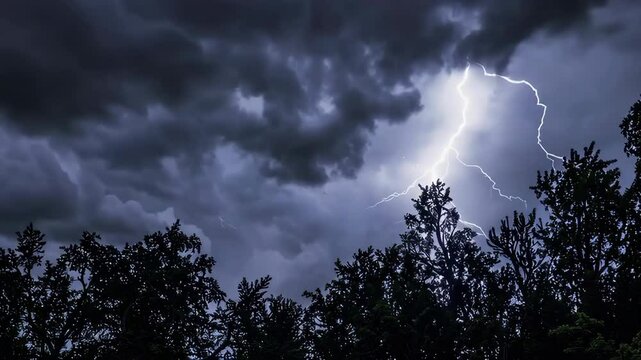 Lightning storm illuminating night sky above trees