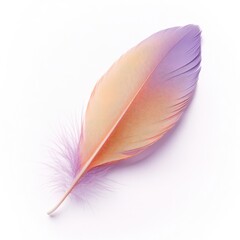 Light, soft pink bird feather isolated on a white background