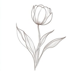 Continuous one line drawing of a tulip flower with leaves. 