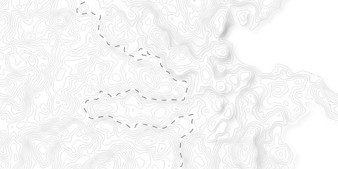 Abstract pattern with lines topographic map background. Topography and geography grid. Topographic cartography. Topographic Map. Topographic Relief.	
