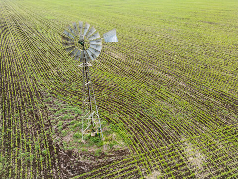 A metal windmill sitting on an agricultural field with rows of growing plants