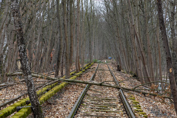 Abandoned railway track in a forest, covered with fallen trees and autumn leaves, creating a moody, mysterious and forgotten atmosphere. Berlin, Germany.