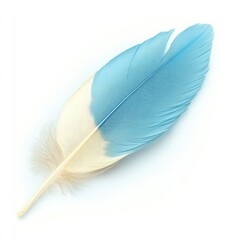 Fototapeta premium White feather, isolated bird plume on a clean background