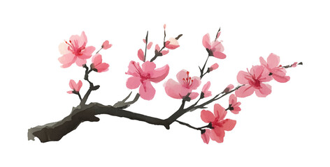 Watercolor illustration of pink cherry blossom flowers blooming on a branch against black backdrop