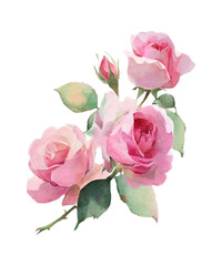 Elegant Watercolor Painting of Pink Roses Bouquet with Bud and Green Leaves