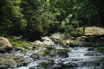 Fototapeta premium River at Deep of Meratus Mountain in Borneo Rainforest, Tanah Bumbu, Indonesia