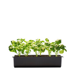 Fototapeta premium Hydroponic Grow Light png