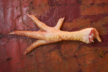 fresh chicken feet in the market, A detailed close-up shot showcasing the texture of fresh chicken...
