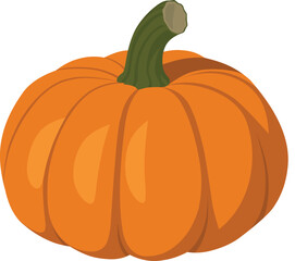 Big orange pumpkin isolated on white background