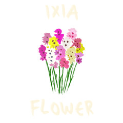 Hand Drawn and Hand Lettering Flower