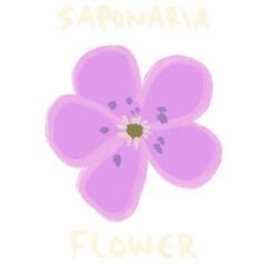 Hand Drawn and Hand Lettering Flower