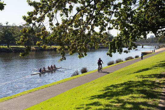 Women rowing training on the yarra river with coach riding alongside on a bike