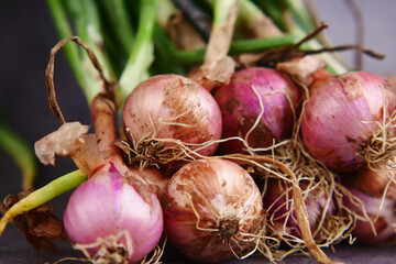 Fresh shallots with green tops arranged on a dark surface