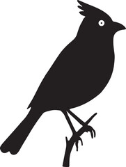 bird, sparrow, robin, eagle, hawk, pigeon, dove, flamingo, parrot, peacock, canary, stork, crow