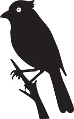 bird, sparrow, robin, eagle, hawk, pigeon, dove, flamingo, parrot, peacock, canary, stork, crow