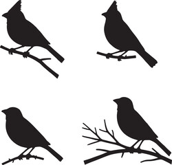 bird, sparrow, robin, eagle, hawk, pigeon, dove, flamingo, parrot, peacock, canary, stork, crow