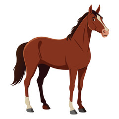 Fototapeta premium Horse Vector 