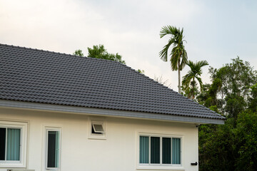 Modern house design with tropical plants urban setting exterior view tranquil environment