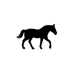 Fototapeta premium Silhouette of a walking horse with short tail
