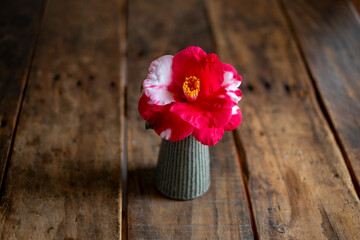 椿_岩根絞り_花瓶